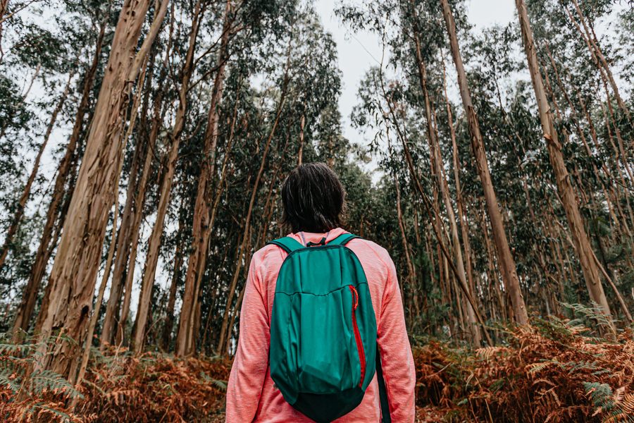 Alpine 30 Hiking Pack