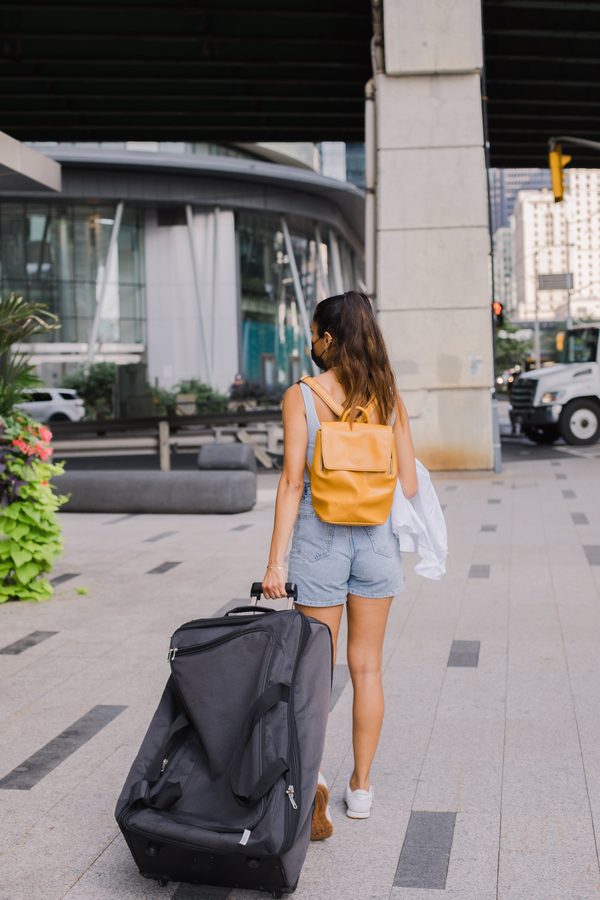 Transit 28 Travel Pack
